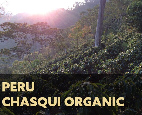 Chasqui Organic